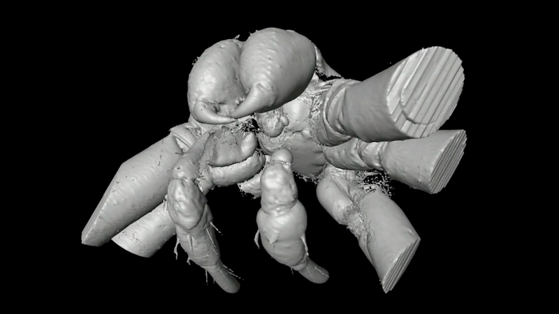 Illustration for article titled X-Ray Console Quiz!